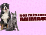 Replay Nos très chers animaux
