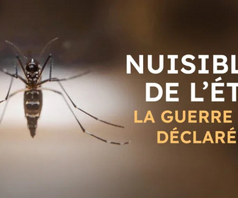Replay Nuisibles de l'été, la guerre est déclarée