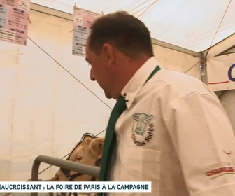 Replay Un jour, un doc - Beaucroissant : la foire de Paris à la campagne