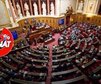 Replay 100% Sénat - Programmation nationale de l'énergie : adoption du texte au Sénat