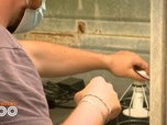 Replay Une saison au zoo - S14 E13