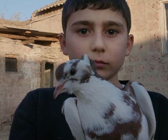 Replay Un garçon, une terre, la guerre