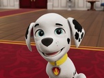 Replay Paw Patrol, la Pat'Patrouille - L'os d'émeraude a disparu