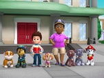Replay Paw Patrol, la Pat'Patrouille - Les mésanges charbonnières