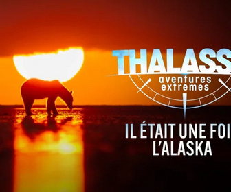 Replay Thalassa, aventures extrêmes - 07/09/2026