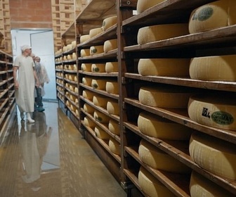 Replay France : le comté à l'heure des comptes - ARTE Regards