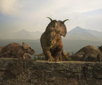 Replay Sur la terre des dinosaures - 17/10/2025