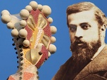 Replay POURQUOI ? - Antoni Gaudi : architecte du fantastique