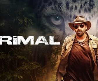 Replay Primal