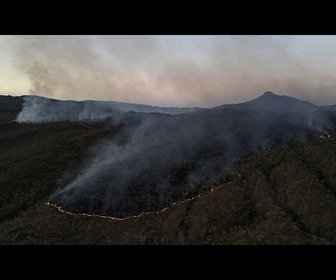 Replay La loi sur la déforestation de l'UE reportée et assouplie par le Parlement européen