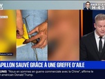 Replay BFM Première prématinale - Le break du 16 octobre