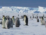 Replay Antarctica 2024 – Un voyage vers l'engagement - Antarctica2024 – Un voyage vers l'engagement