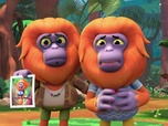 Replay Les enquêtes sauvages - L'affaire du singe qui pleure