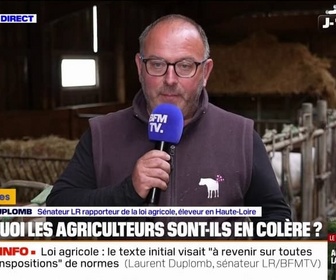 Replay 7 MINUTES POUR COMPRENDRE - Normes, néonicotinoïdes, loi Duplomb... Pourquoi les agriculteurs sont-ils en colère ?