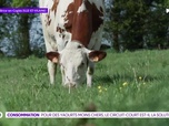 Replay On a de l'info - Inflation : et si vous mangiez des yaourts en circuit-court ?