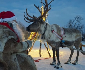 Replay Entre le renne et l'âne gris - Bestiaire de Noël