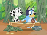 Replay Bluey - Le magasin