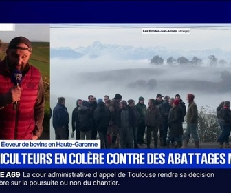 Replay Marschall Truchot - Marshall Truchot : Des agriculteurs en colère contre des abattages massifs - 11/12