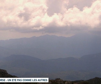 Replay Un jour, un doc week-end - Corse : un été pas comme les autres (2/2)