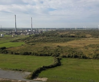 Replay ARTE Journal - Allemagne : une réserve naturelle menacée par un projet industriel