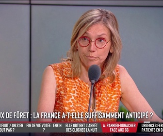 Replay Les Grandes Gueules - Lutte contre les feux de forêt : La France a-t-elle suffisamment anticipé ?