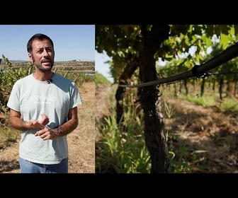 Replay Agriculture économe en eau : 5 conseils pour économiser l'eau (et comment l'UE peut aider)