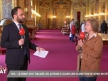 Replay En direct du Sénat - Viols de Mazan : hommes et femmes doivent lutter ensemble