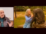 Replay Actuelles - Jane Goodall, de la défense des chimpanzés à la lutte pour la justice sociale