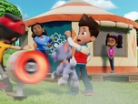 Replay Paw Patrol, la Pat'Patrouille - Le cours de méditation