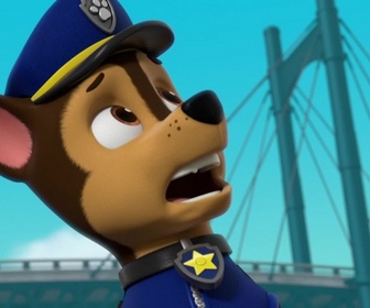 Replay S00 E47 - Compilation Paw Patrol, la Pat'Patrouille 47