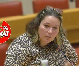 Replay 100% Sénat - Comment analyser l'adhésion aux mouvements masculinistes ?