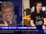 Replay L'image du jour - Eating the cats: un artiste sud-africain parodie la fake news de Donald Trump en chanson