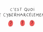 Replay 1 jour, 1 question - S5 E13 - C'est quoi le cyber-harcèlement ?