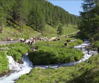 Replay Le val Venosta - Le Tyrol du Sud