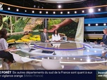 Replay BFM Première prématinale - Focus Régions - 02/07