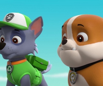 Replay Paw Patrol, la Pat'Patrouille - Un chaton dans la Pat'Patrouille
