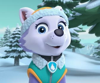 Replay Paw Patrol, la Pat'Patrouille - S05 E21 - Une balade en raquettes