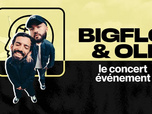 Replay Bigflo et Oli, le concert événement