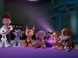 Replay Paw Patrol, la Pat'Patrouille - Le phare de l'île des Phoques