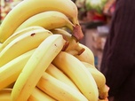 Replay TFOU de cuisine - S01 E14 - Sucettes de fruits glacés