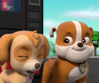 Replay Paw Patrol, la Pat'Patrouille - Mission camion : La Grande Vallée en danger