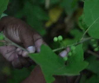 Replay C pas si loin - 15/04/2026