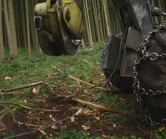 Replay Bûcheron, un métier à hauts risques - Des opérations semées d'embûches