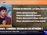 Replay C'est votre vie - Baignade: comment réagir en cas de piqûre de méduse ?