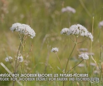 Replay Norvège - Invitation au voyage