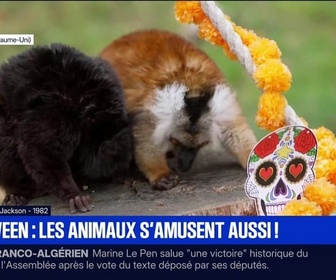 Replay BFM Première prématinale - Le break du vendredi 31 octobre