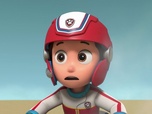 Replay Paw Patrol, la Pat'Patrouille - Toilettage à domicile