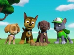 Replay Paw Patrol, la Pat'Patrouille - Deux maires en détresse