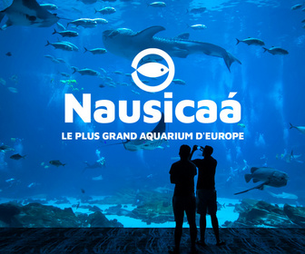 Replay Nausicaa, le plus grand aquarium d'Europe