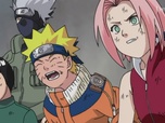 Replay Naruto - Episode 46 - Le pouvoir de Byakugan